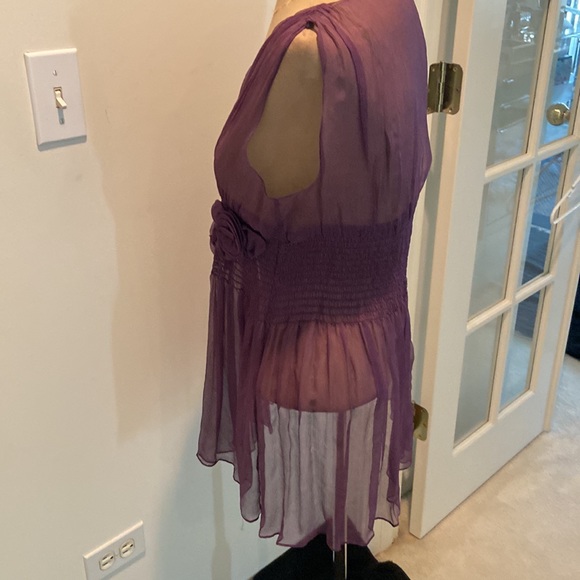 Sheer Silk Blouse - Picture 5 of 10